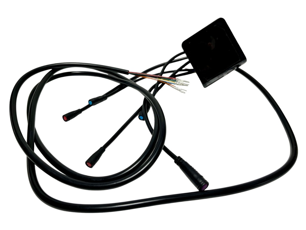 Display (Pantalla)  Dualtron Togo Limited