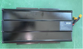 Battery (Bateria) Inmotion RS