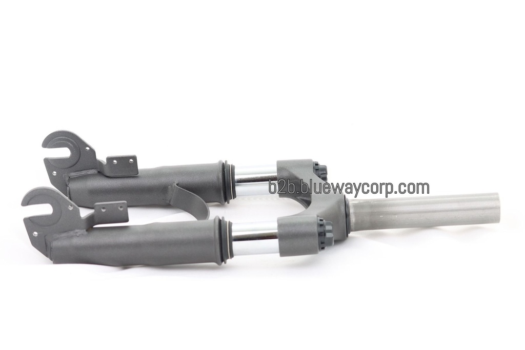 Fork assembly (Horquilla) Inmotion L9