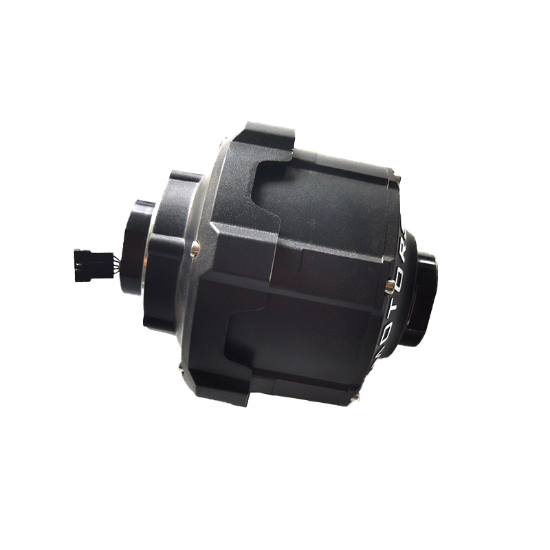Rear Motor (Motor trasero) Dualtron Storm