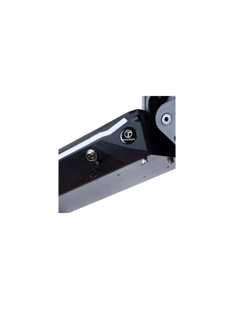 Teverun Fighter Mini Pro 60V 25 LG