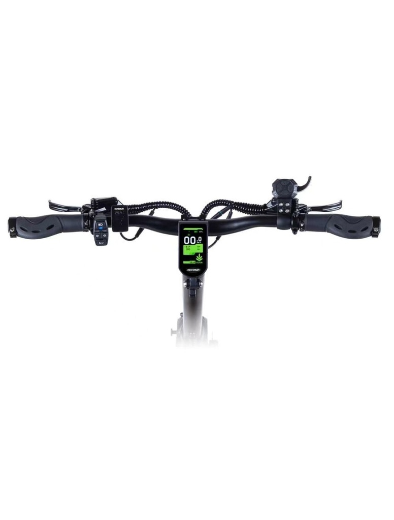 Teverun Fighter Mini Pro 60V 25 LG