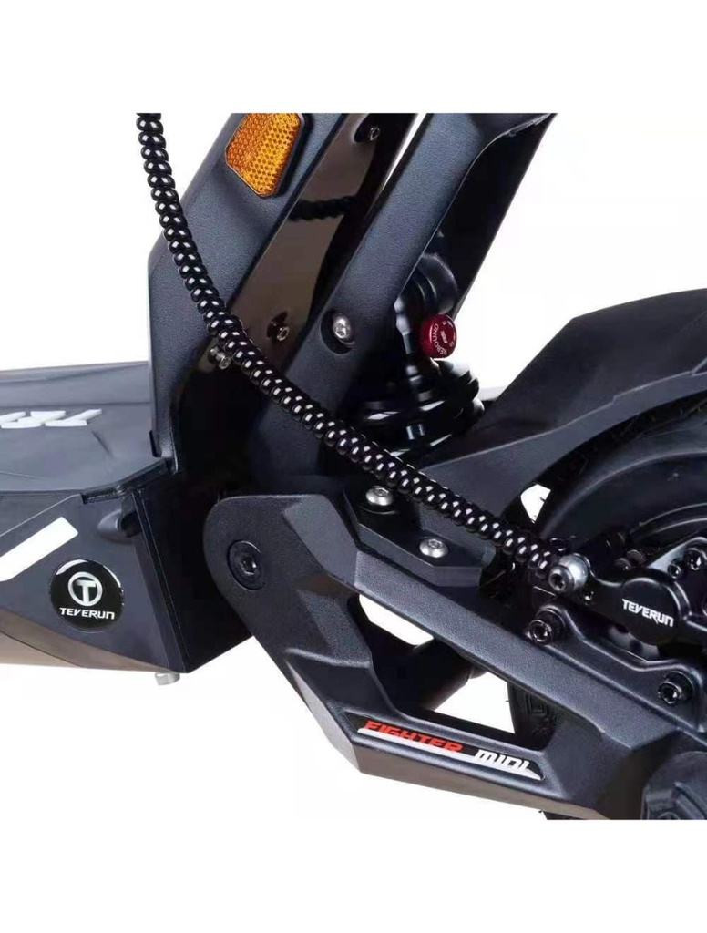 Teverun Fighter Mini Pro 60V 25 LG