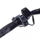 Teverun Fighter Mini Pro 60V 25 LG