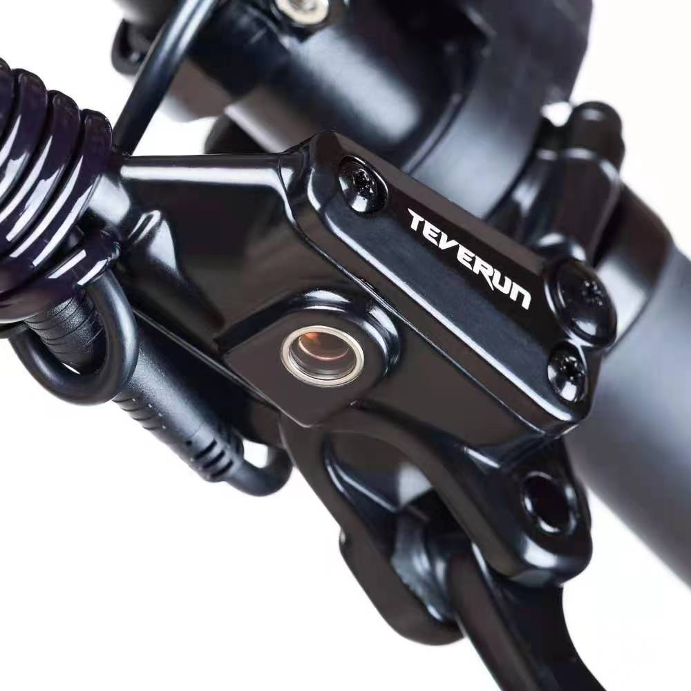 Teverun Fighter Mini Pro 60V 25 LG