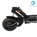 Teverun Fighter Mini Pro 60V 25 LG