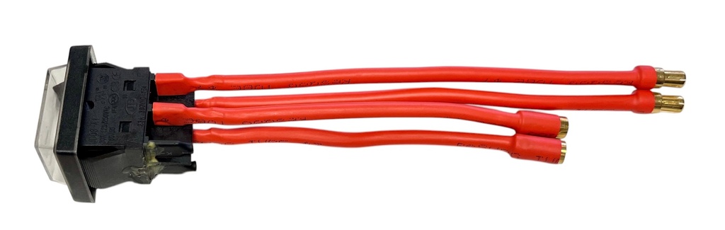 main switch (interruptor principal) Dualtron Forever