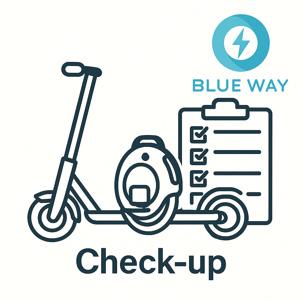 Vehicle Verification by BW - 8 points Check-up before shipping