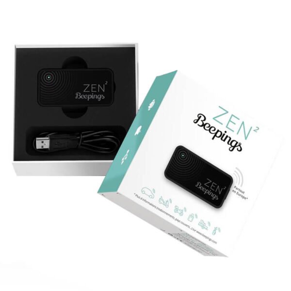 Zen 2 by Beepings box